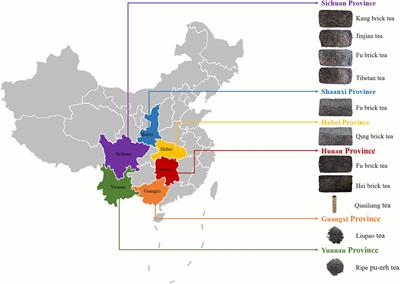 Dietary assessment of ochratoxin A in Chinese dark tea and inhibitory effects of tea polyphenols on ochratoxigenic Aspergillus niger